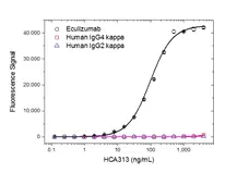 Anti Eculizumab Antibody, clone AbD32107_hIgG1 gallery image 2