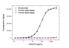 Anti Eculizumab Antibody, clone AbD32109_hIgG1 gallery image 2