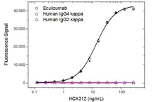 Anti Eculizumab Antibody, clone AbD32311 gallery image 2