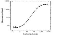 Anti Eculizumab Antibody, clone AbD32311 gallery image 3
