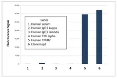 Anti Etanercept Antibody, clone AbD25939 gallery image 1