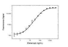Anti Etanercept Antibody, clone AbD25939 gallery image 4