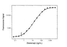 Anti Etanercept Antibody, clone AbD25940_hIgG4_Pro gallery image 3