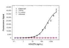 Anti Etanercept Antibody, clone AbD26183_hIgG1 gallery image 2