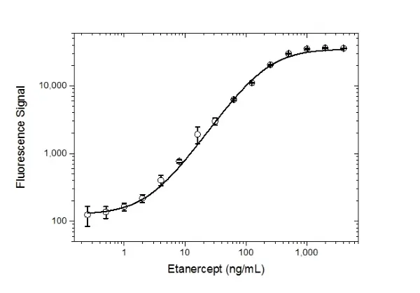 Anti Etanercept Antibody, clone AbD26183_hIgG1 gallery image 3