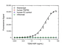 Anti Etanercept Antibody, clone AbD26183pap gallery image 2