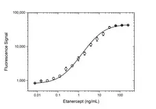 Anti Etanercept Antibody, clone AbD26183pap gallery image 3