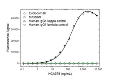 Anti Evolocumab Antibody, clone AbD40405ia gallery image 2