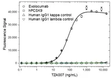 Anti Evolocumab Antibody, clone AbD40406ad gallery image 2