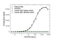 Anti Evolocumab Antibody, clone AbD40410ia gallery image 2