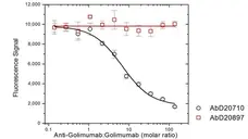 Anti Golimumab Antibody, clone AbD20710 gallery image 4