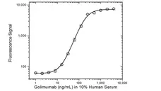 Anti Golimumab Antibody, clone AbD20710 gallery image 5