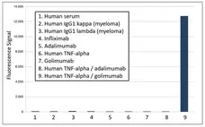 Anti Golimumab (Drug/Target Complex) Antibody, clone AbD20893_hIgG1 gallery image 1