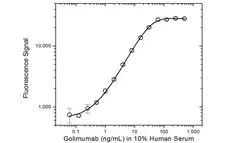 Anti Golimumab Antibody, clone AbD20897 gallery image 3