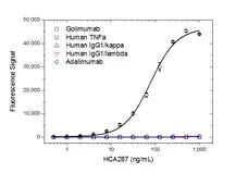 Anti Golimumab Antibody, clone AbD25418_hIgG1 gallery image 2