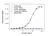 Anti Golimumab Antibody, clone AbD25418_hIgG1 thumbnail image 2