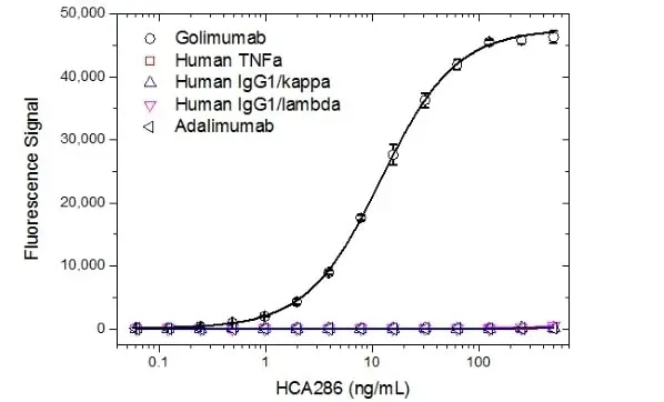 Anti Golimumab Antibody, clone AbD25429 gallery image 2