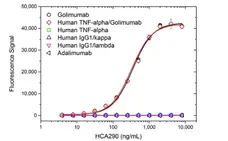 Anti Golimumab Antibody, clone AbD25451_hIgG1 gallery image 2