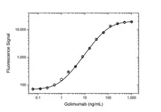 Anti Golimumab Antibody, clone AbD25455 gallery image 4