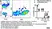 Anti Guinea Pig T Lymphocytes Antibody, clone MsGp7 thumbnail image 2