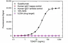 Anti Guselkumab Antibody, clone AbD59937 gallery image 2