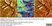 Anti Heparin/Heparan sulfate Antibody, clone T320.11 thumbnail image 1