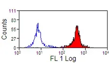 Anti Horse CD11a/CD18 Antibody, clone CVS9 gallery image 1