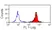 Anti Horse CD11a/CD18 Antibody, clone CVS9 thumbnail image 1