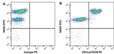 Anti Horse CD11a/CD18 Antibody, clone CVS9 gallery image 4