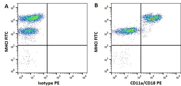 Anti Horse CD11a/CD18 Antibody, clone CVS9 gallery image 4