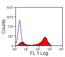Anti Horse CD13 Antibody, clone CVS19 gallery image 2