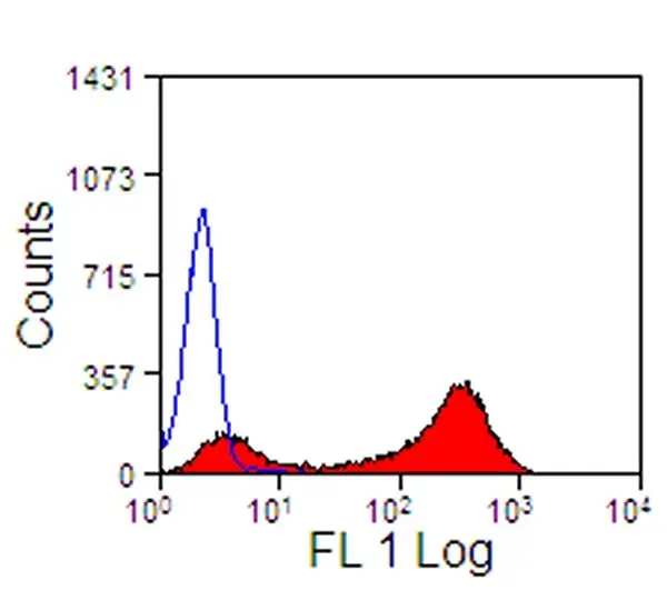 Anti Horse CD13 Antibody, clone CVS19 gallery image 2