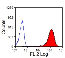 Anti Horse CD13 Antibody, clone CVS19 gallery image 3