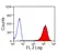 Anti Horse CD13 Antibody, clone CVS19 thumbnail image 3