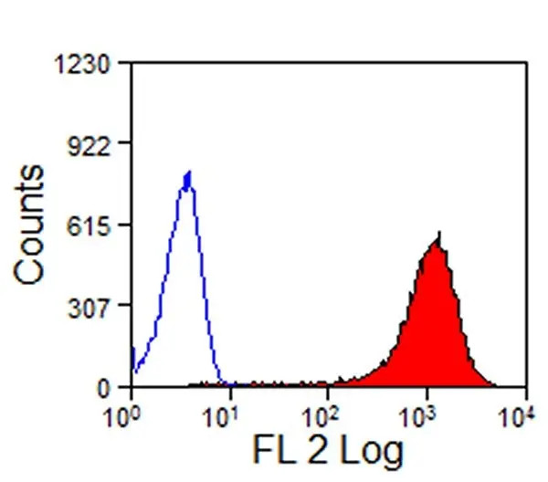 Anti Horse CD13 Antibody, clone CVS19 gallery image 3