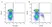 Anti Horse CD14 Antibody, clone 105 thumbnail image 1