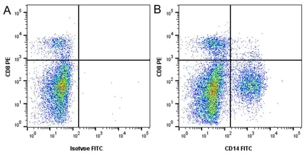 Anti Horse CD14 Antibody, clone 105 gallery image 5