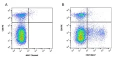 Anti Horse CD23 Antibody, clone 51-3 gallery image 2