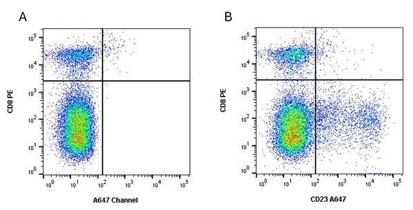 Anti Horse CD23 Antibody, clone 51-3 gallery image 2