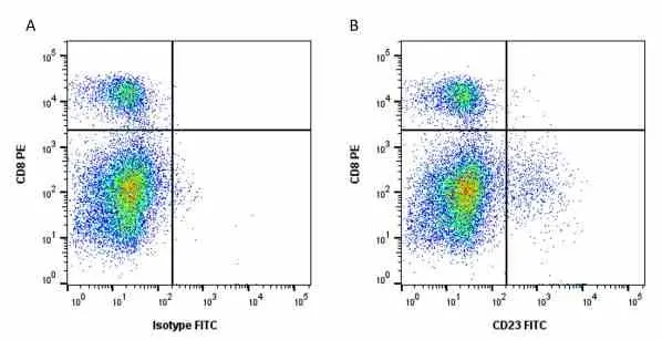 Anti Horse CD23 Antibody, clone 51-3 gallery image 3