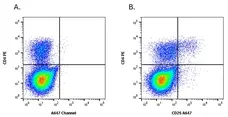 Anti Horse CD25 Antibody, clone 15-1 gallery image 1