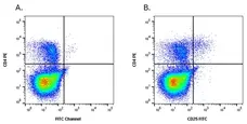 Anti Horse CD25 Antibody, clone 15-1 gallery image 2
