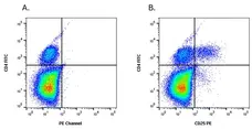 Anti Horse CD25 Antibody, clone 15-1 gallery image 3