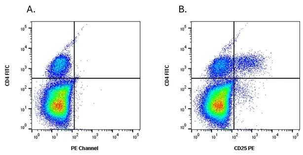 Anti Horse CD25 Antibody, clone 15-1 gallery image 3