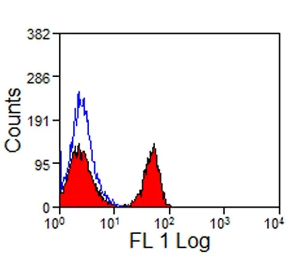 Anti Horse CD4 Antibody, clone CVS4 gallery image 2