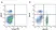 Anti Horse CD4 Antibody, clone CVS4 thumbnail image 4