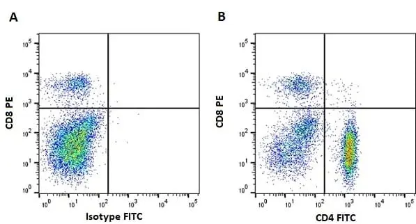 Anti Horse CD4 Antibody, clone CVS4 gallery image 4