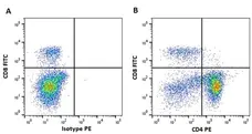 Anti Horse CD4 Antibody, clone CVS4 gallery image 5