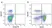 Anti Horse CD4 Antibody, clone CVS4 thumbnail image 5