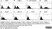 Anti Horse CD44 Antibody, clone CVS18 thumbnail image 10